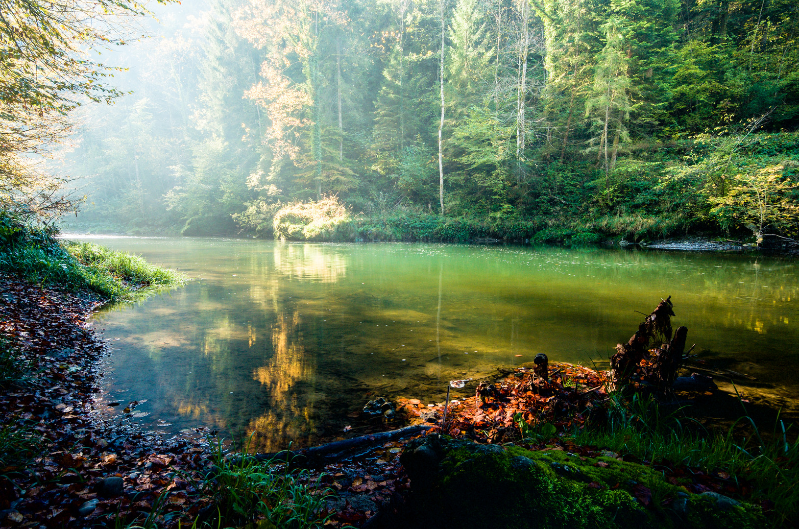 Spaziergang an der Sihl