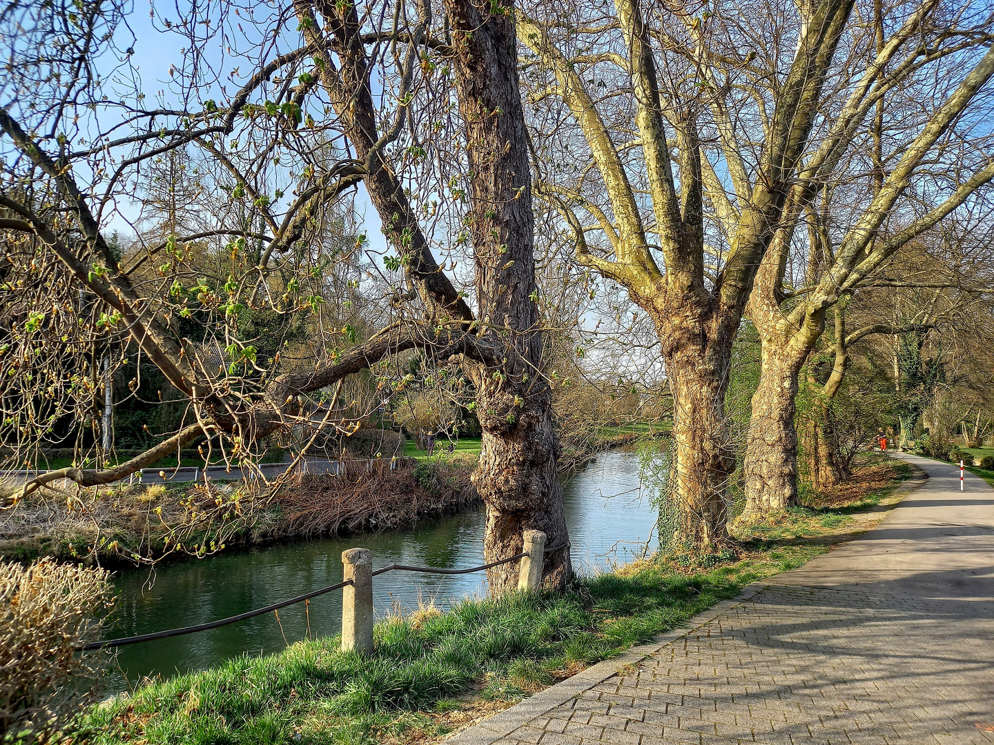 Spaziergang an der Sülz