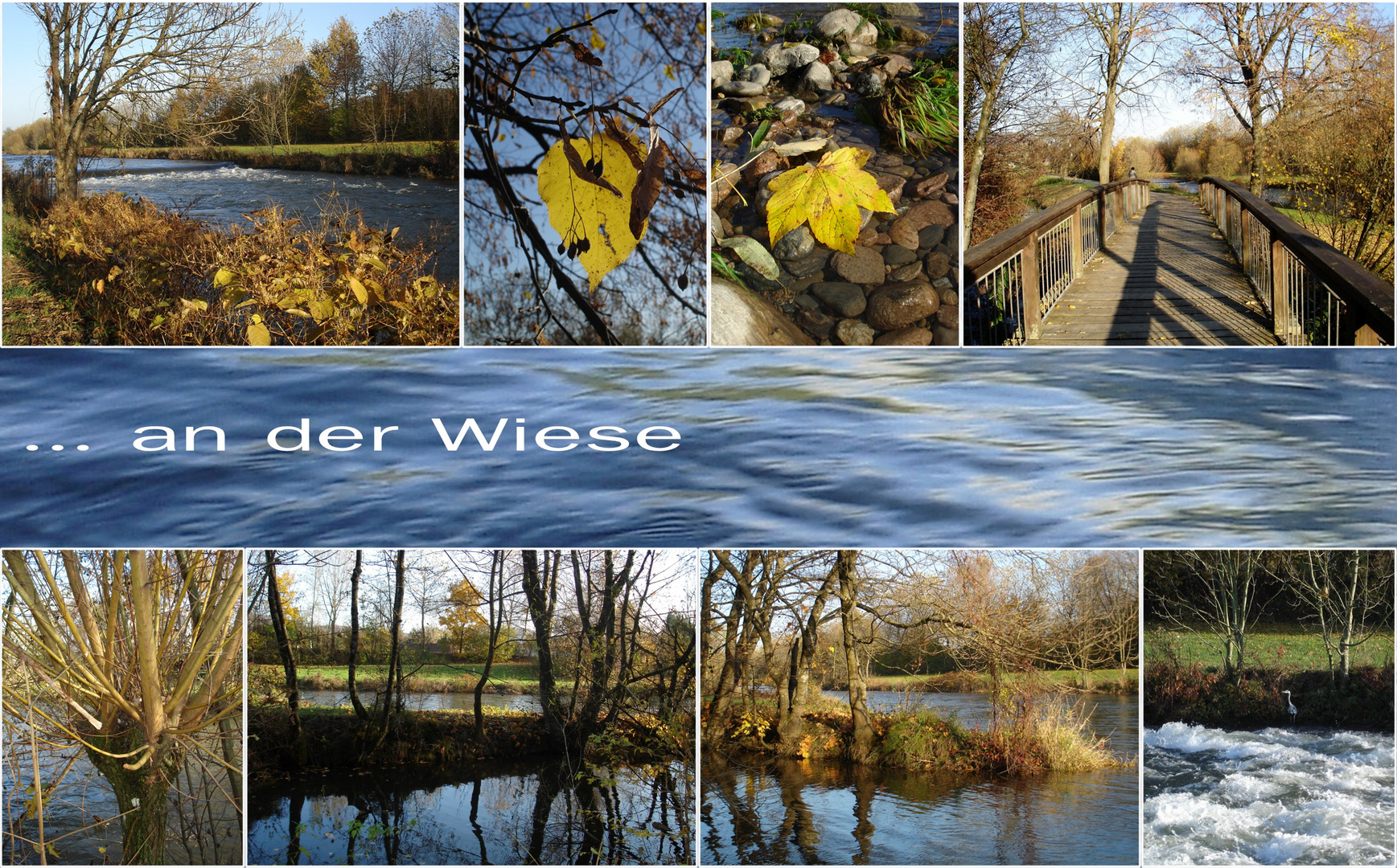 Spaziergang an der Wiese