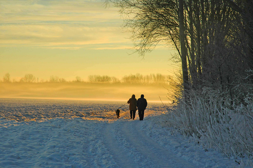 Spaziergang an einem kalten Wintermorgen