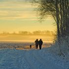 Spaziergang an einem kalten Wintermorgen