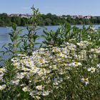 Spaziergang an einem sonnigen Tag