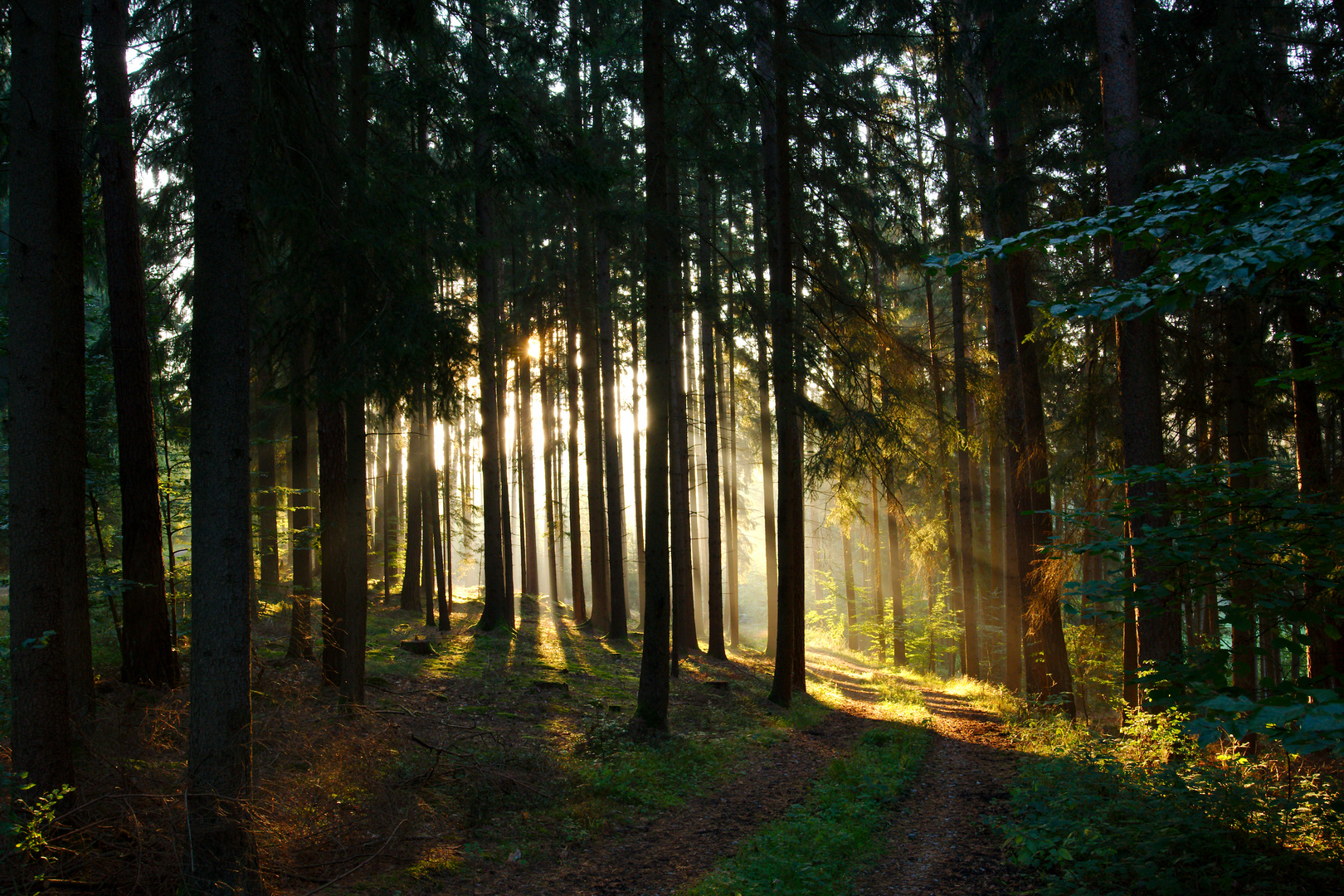 Spaziergang an einem Spätsommermorgen 1