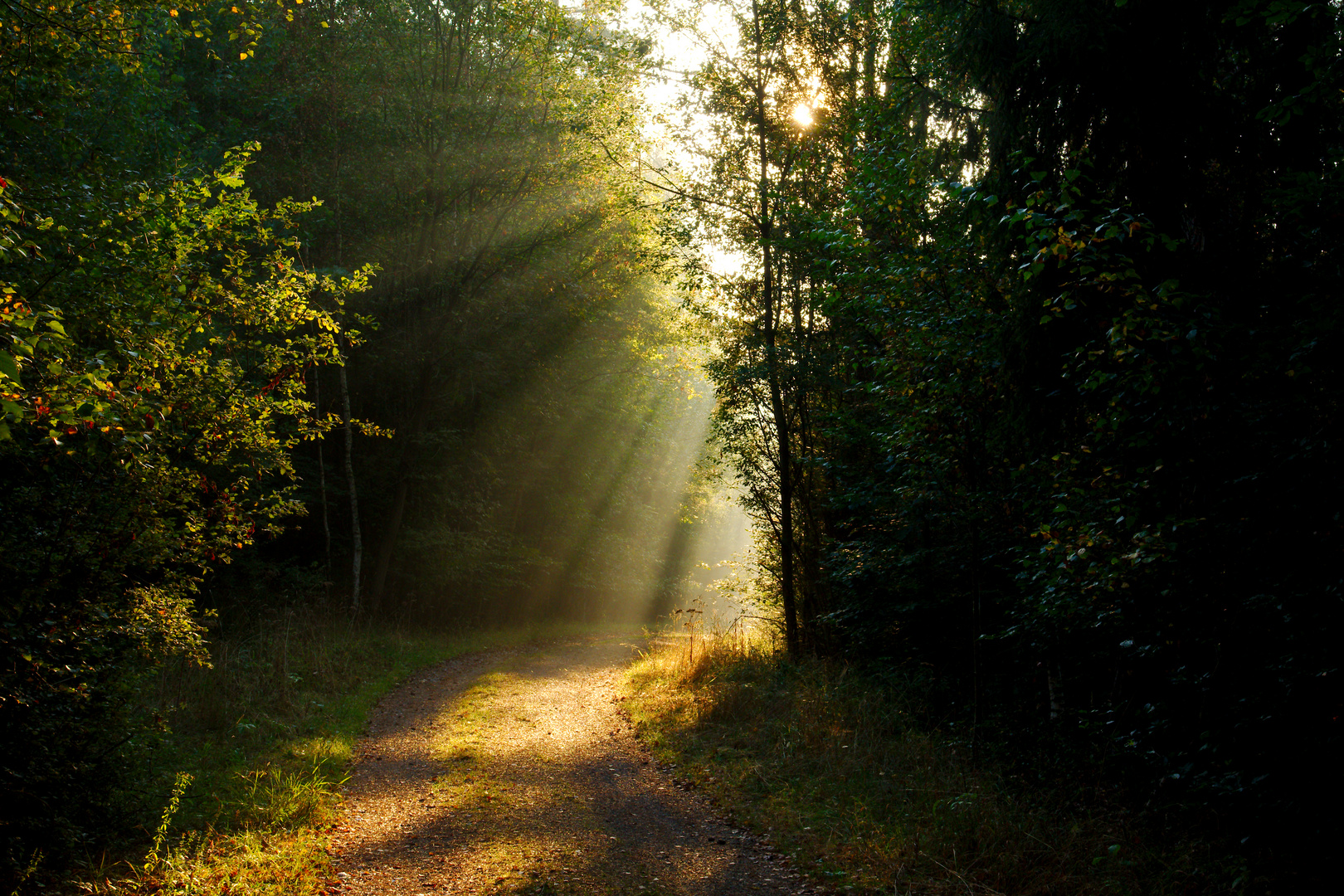 Spaziergang an einem Spätsommermorgen 2