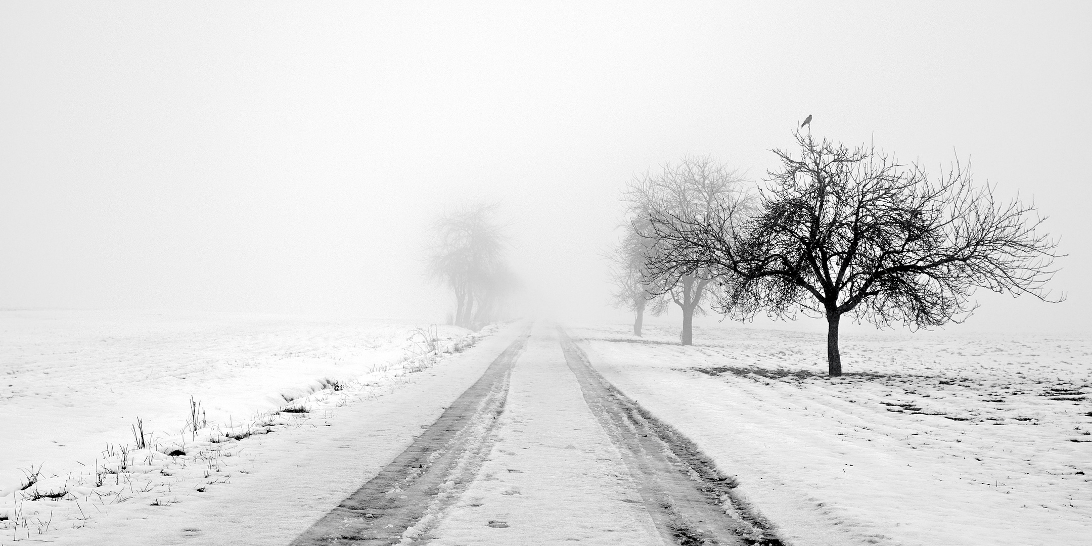 Spaziergang an einem Wintermorgen