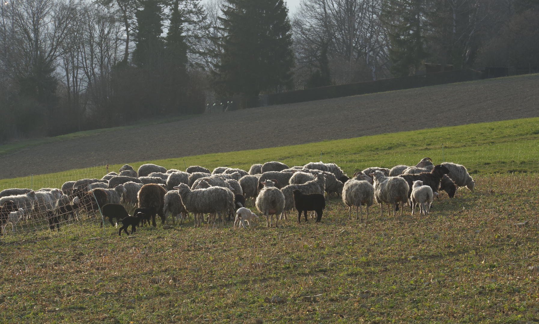 ...Spaziergang auf dem Jägerhaus