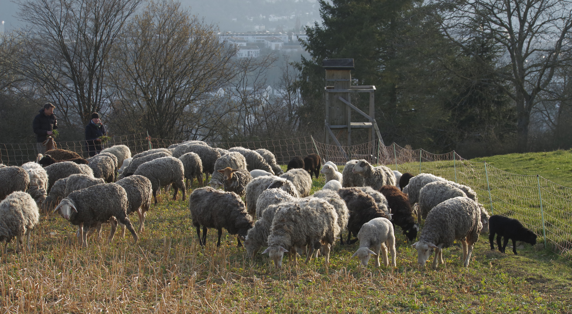 ...Spaziergang auf dem Jägerhaus