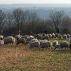 ...Spaziergang auf dem Jägerhaus