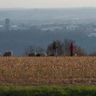 ...Spaziergang auf dem Jägerhaus