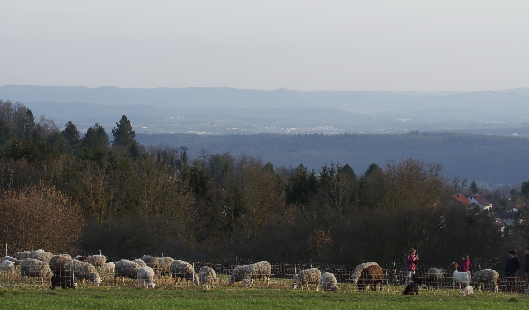 ...Spaziergang auf dem Jägerhaus