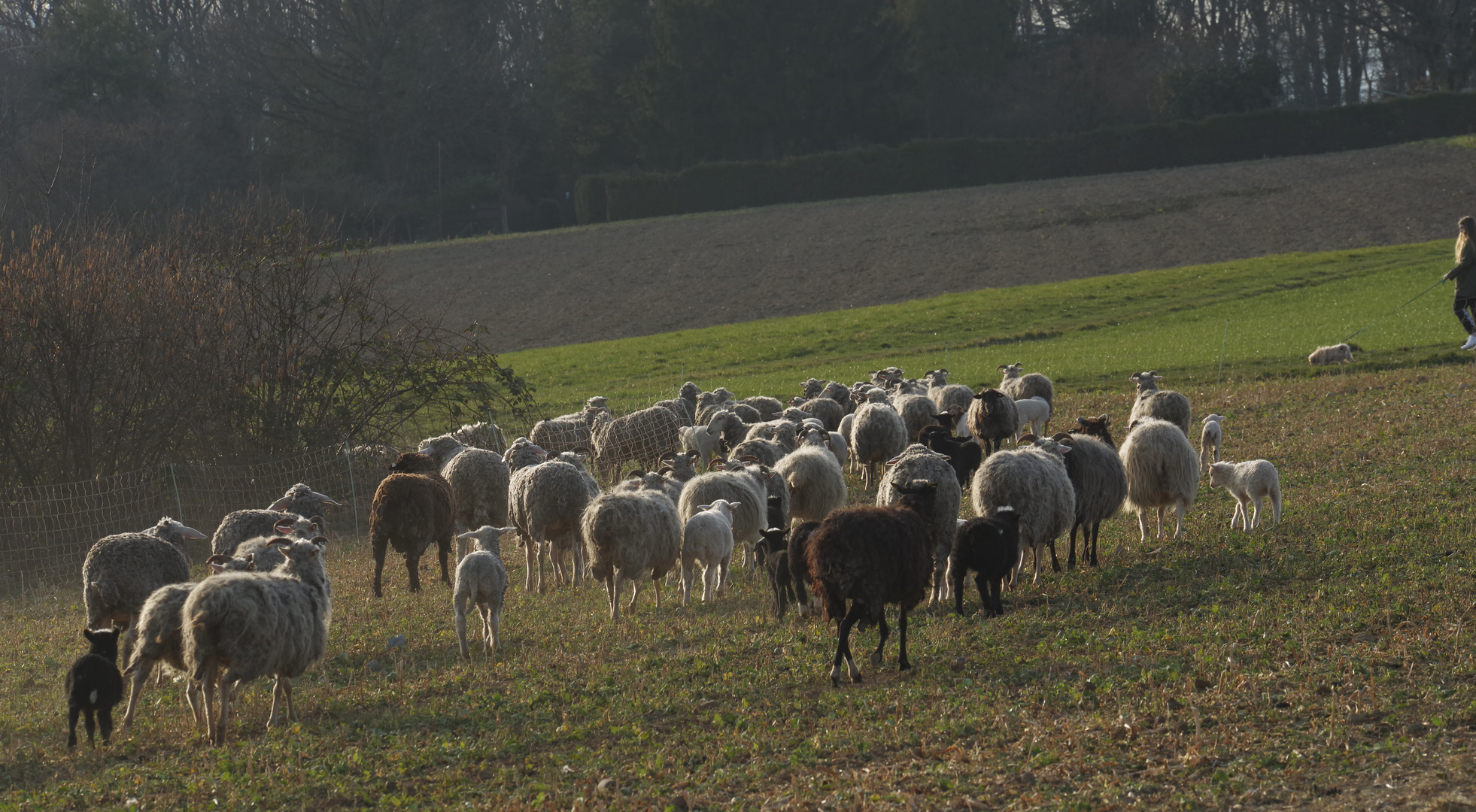 ...Spaziergang auf dem Jägerhaus