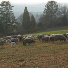 ...Spaziergang auf dem Jägerhaus