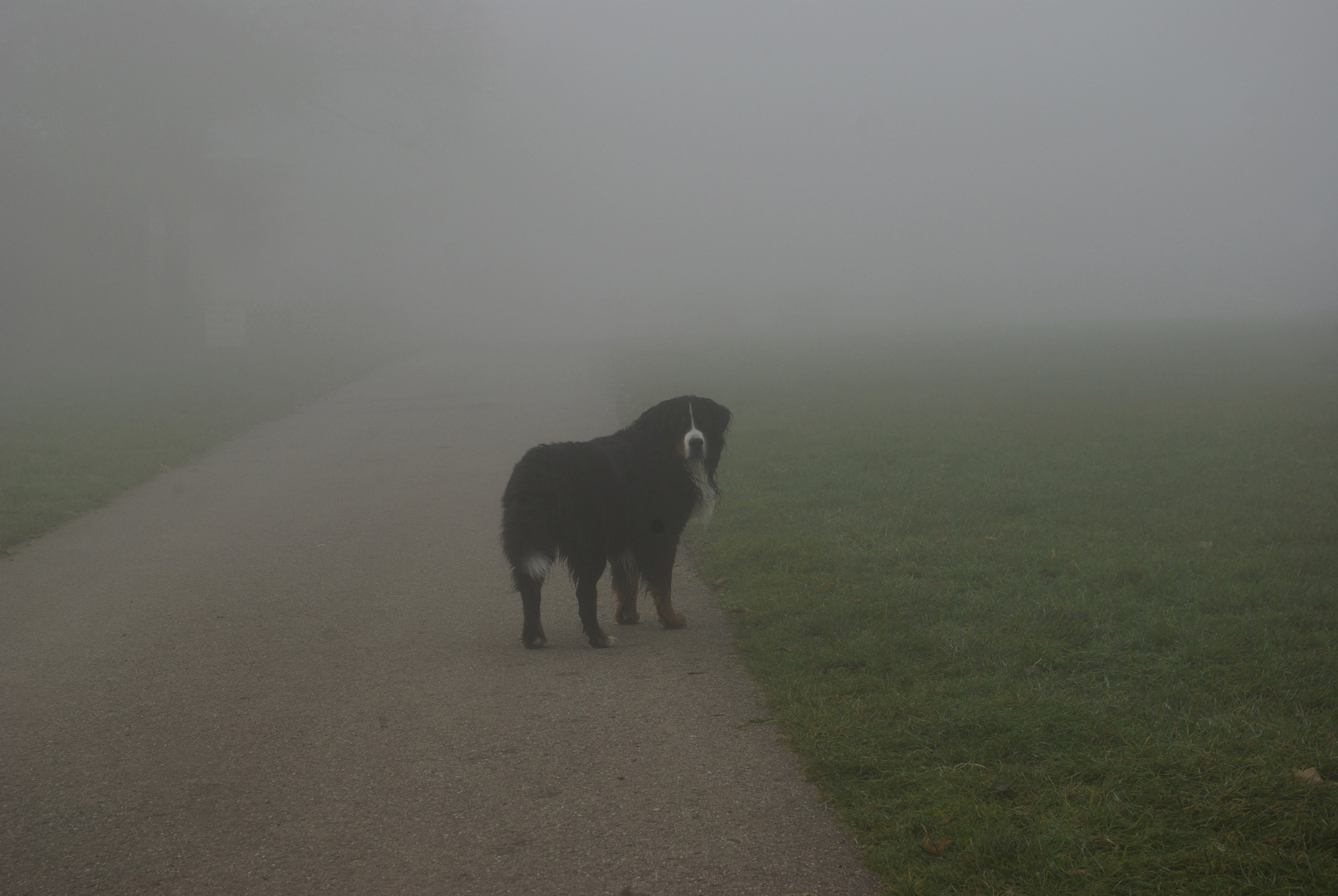 ..Spaziergang auf dem Jägerhaus