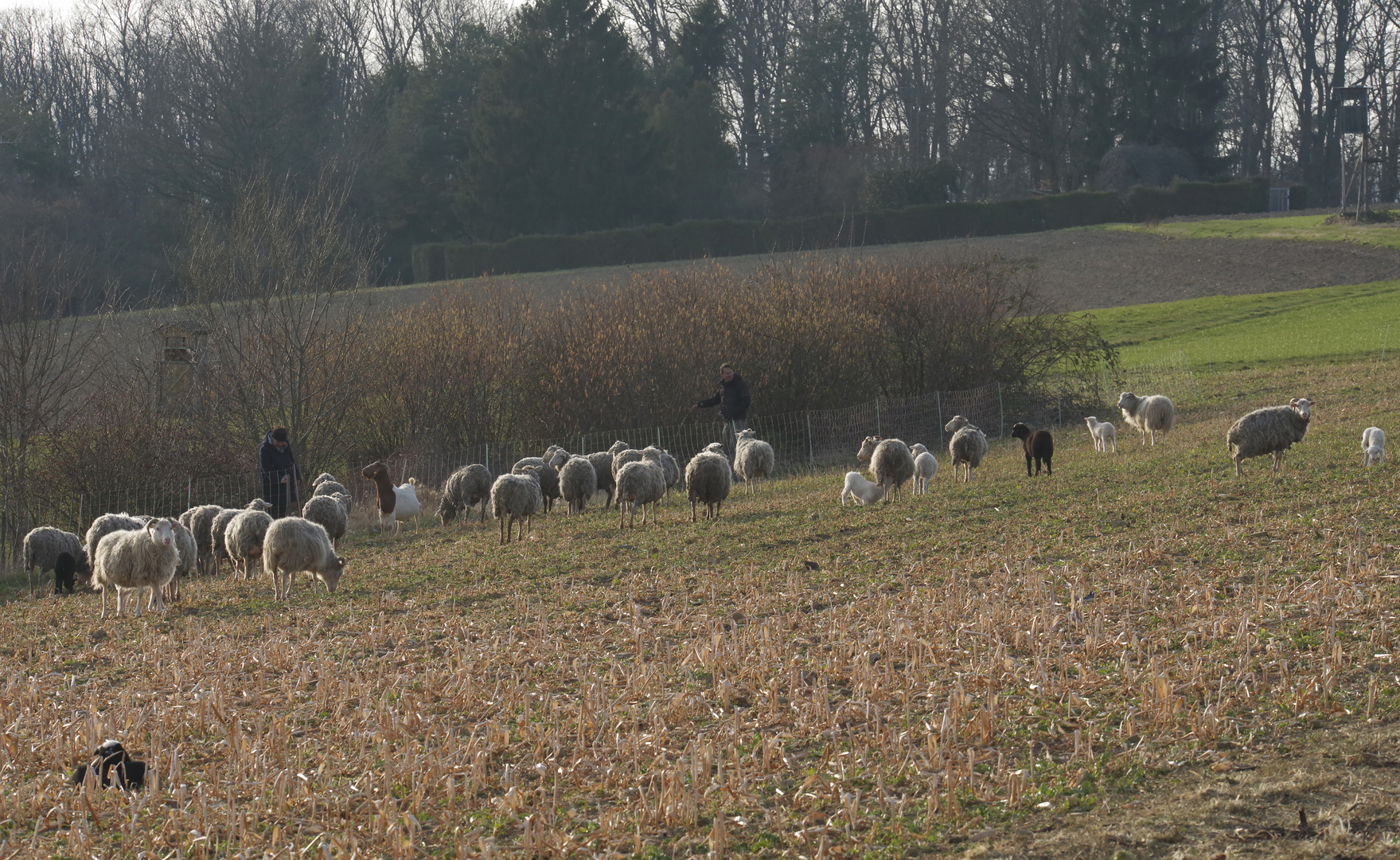 ...Spaziergang auf dem Jägerhaus