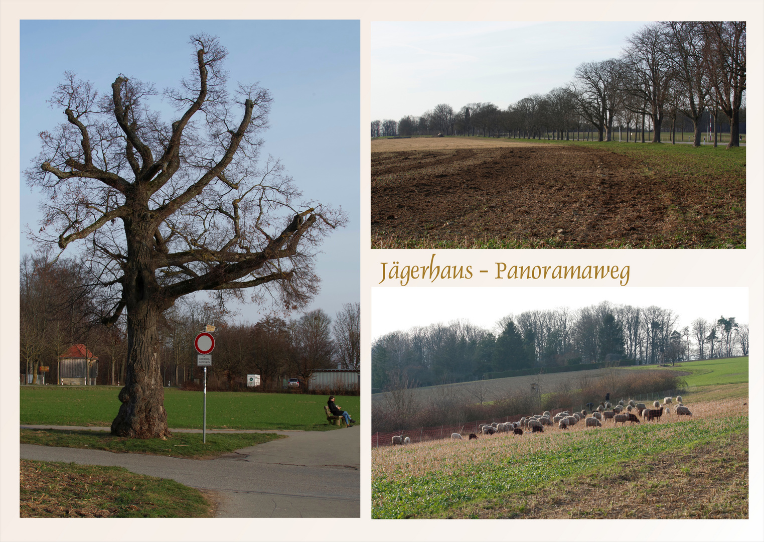 ...Spaziergang auf dem Jägerhaus