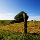 Spaziergang auf dem Land