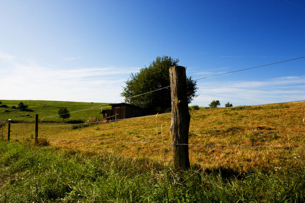 Spaziergang auf dem Land