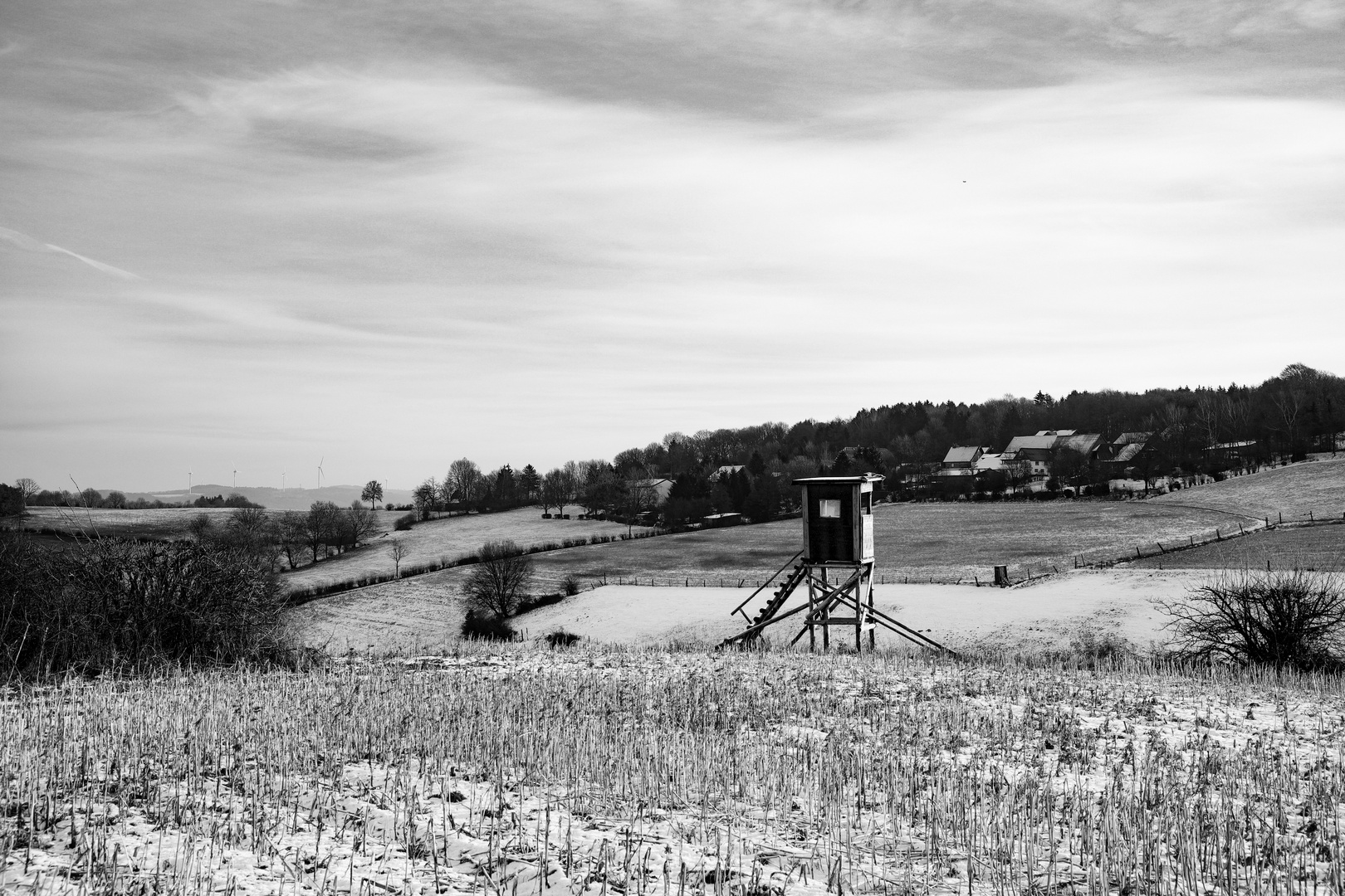 spaziergang auf dem Maisfeld