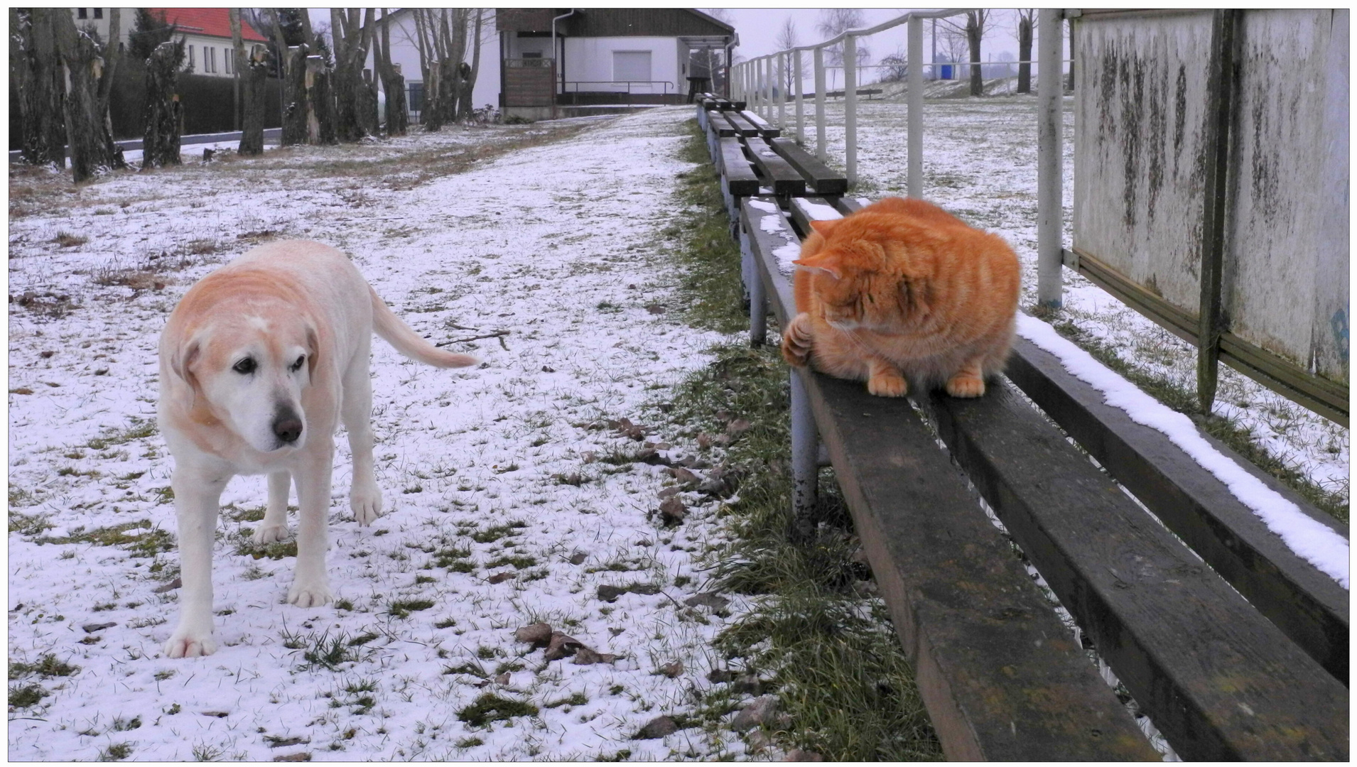 Spaziergang auf dem Sportplatz (paseo en el campo de deportes)