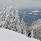 Spaziergang auf den frische Lüft