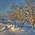 Spaziergang auf der gesperrten Hochrhönstraße im Februar 2015