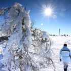 Spaziergang auf der Hornisgrinde