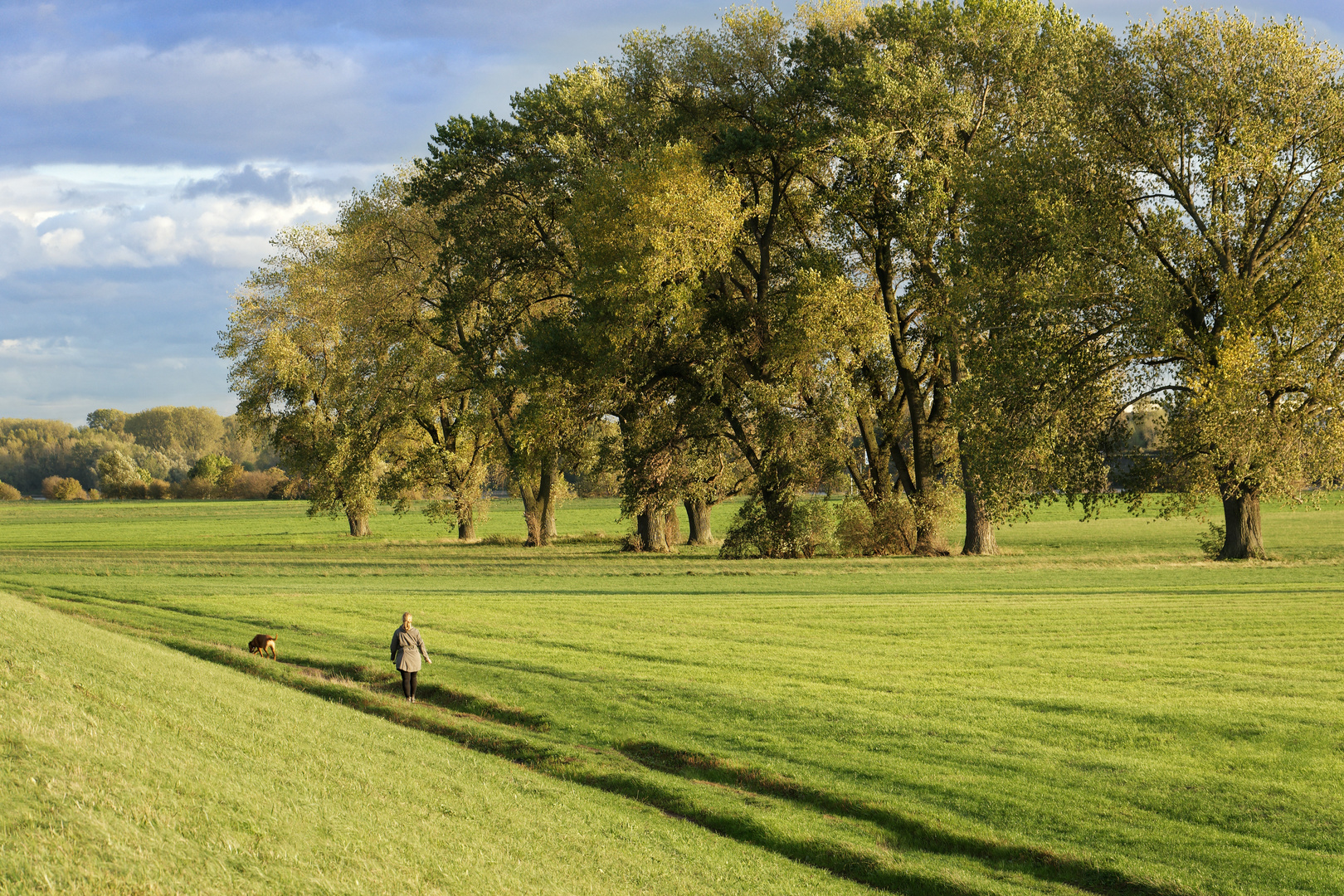 Spaziergang auf der Rheinwiese 