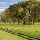 Spaziergang auf der Rheinwiese 