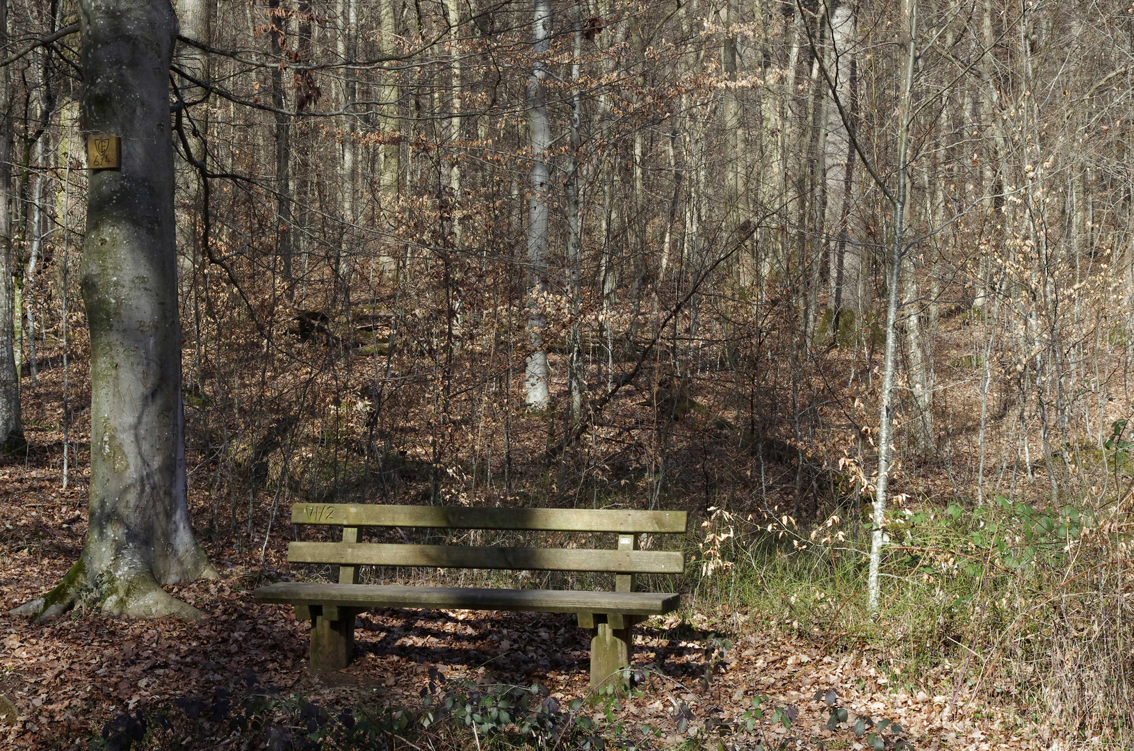 ...Spaziergang auf der Zeller Höhe