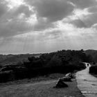 Spaziergang auf Hiddensee