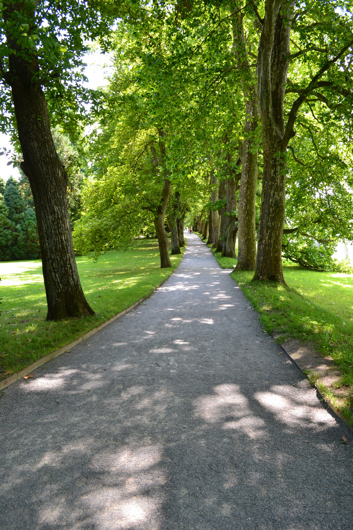 Spaziergang auf Mainau