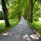 Spaziergang auf Mainau