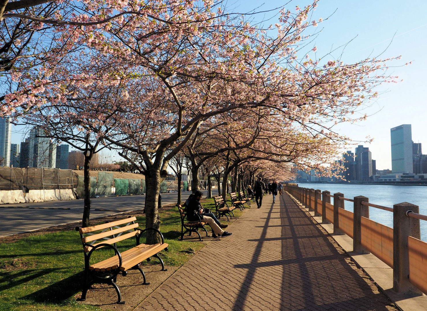 Spaziergang auf Roosevelt Island....