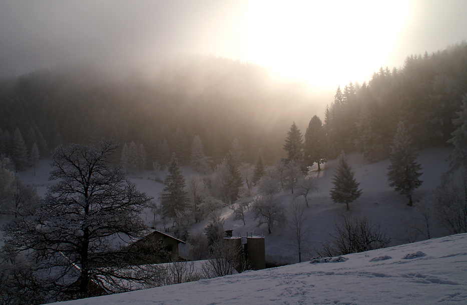 Spaziergang aus dem Nebel