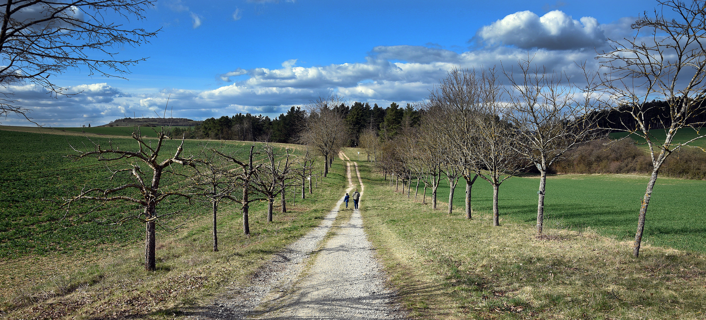 Spaziergang 