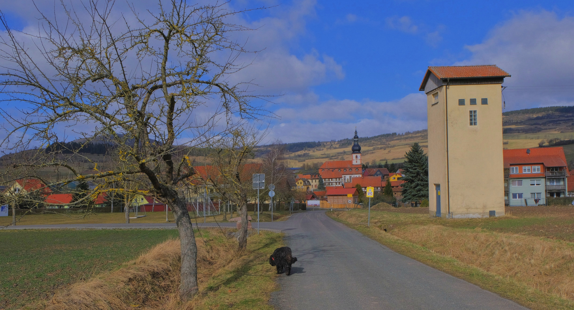 Spaziergang beendet, jetzt wird Mittagsschlaf gemacht