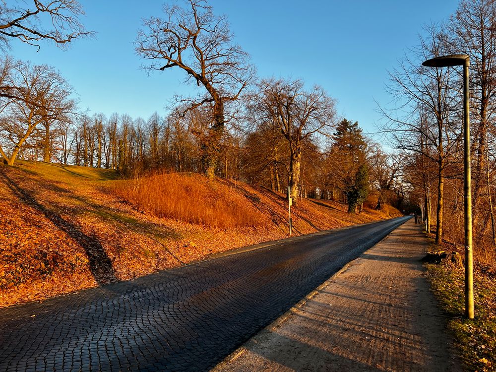 Spaziergang bei aufgehender Sonne