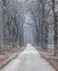 Spaziergang bei Frost 