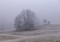Spaziergang bei Frost 