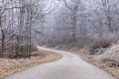 Spaziergang bei Frost