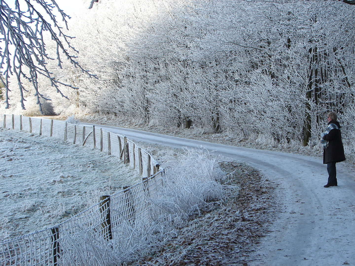 Spaziergang bei klirrendem Frost am Michelsberg