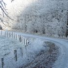 Spaziergang bei klirrendem Frost am Michelsberg