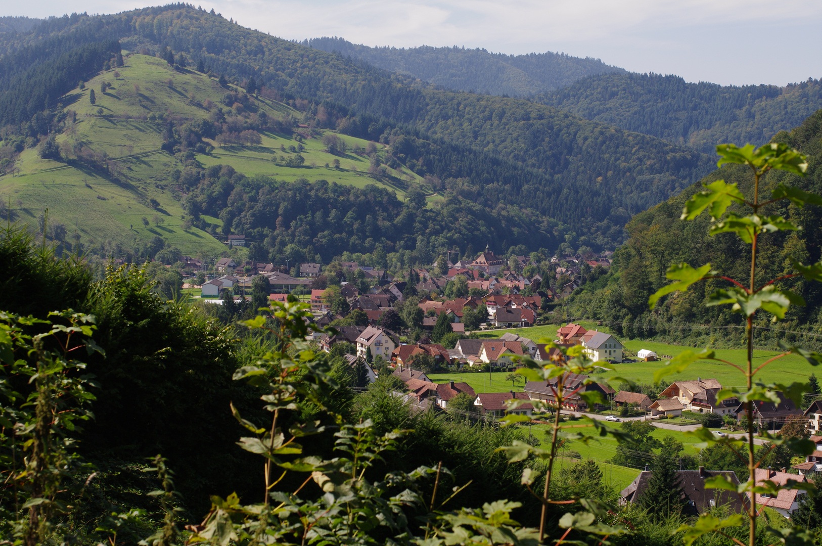 Spaziergang bei mir Daheim