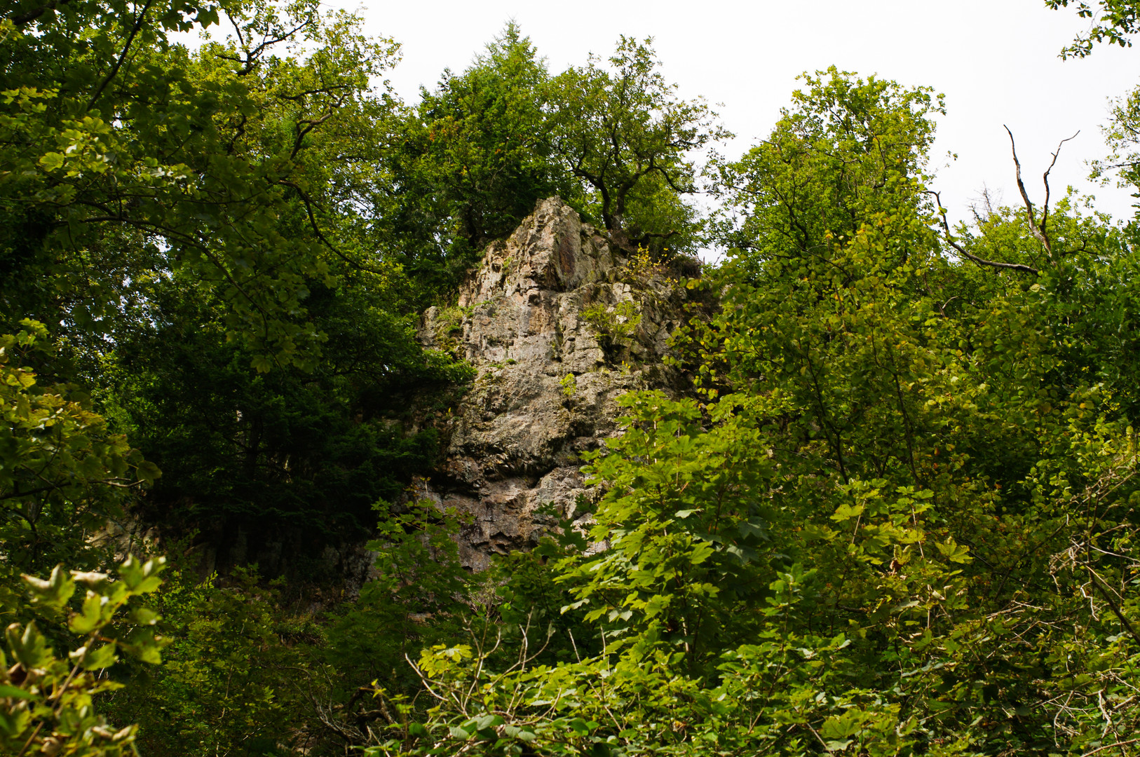 Spaziergang bei mir Daheim7