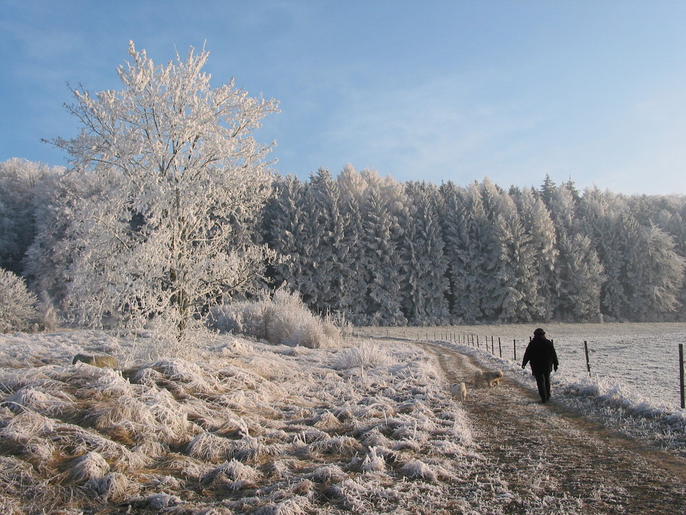 Spaziergang bei Raureif