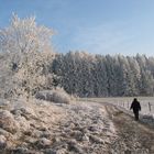 Spaziergang bei Raureif