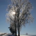 Spaziergang bei Sonne und Schnee