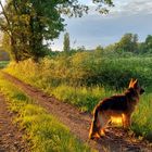 Spaziergang bei Sonnenuntergang