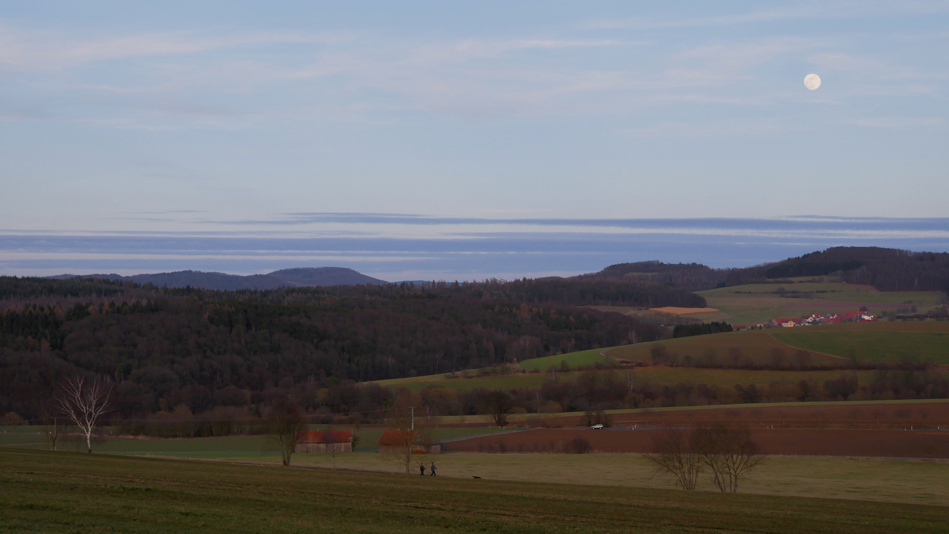 Spaziergang bei Vollmond..