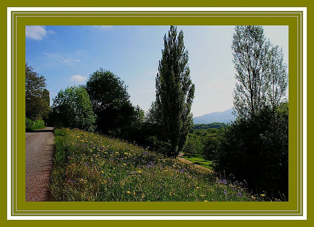 Spaziergang beim Freilichtmuseum Beuren 1